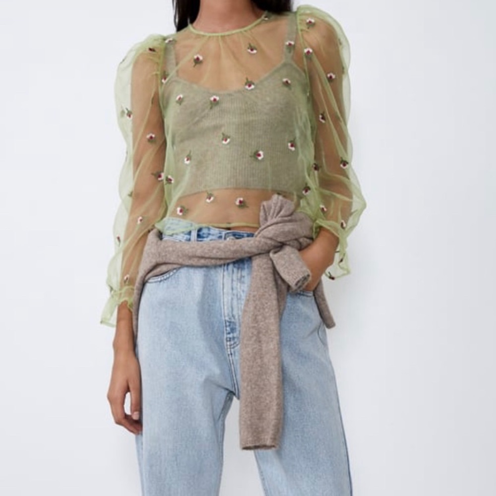 NWT Zara Embroidered Organza Top